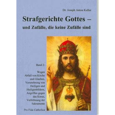 Strafgerichte Gottes und Zufälle, die keine Zufälle sind - Bd. 2
