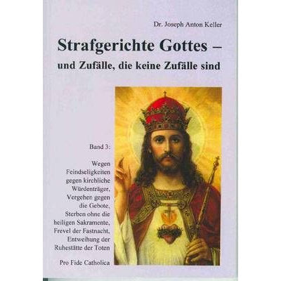 Strafgerichte Gottes und Zufälle, die keine Zufälle sind - Bd. 3