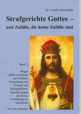 Strafgerichte Gottes und  Zufälle, die keine Zufälle sind - Bd. 2 Joseph Anton Keller