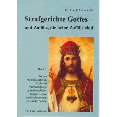 Strafgerichte Gottes und  Zufälle, die keine Zufälle sind - Bd. 1