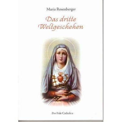 Das dritte Weltgeschehen - Prophezeiungen, Hilfen, Vorsorge