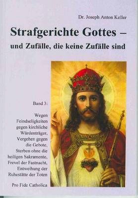 Strafgerichte Gottes und  Zufälle, die keine Zufälle sind - Bd. 3 Joseph Anton Keller